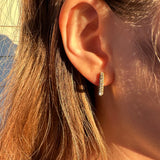 FRANCESCA Earrings
